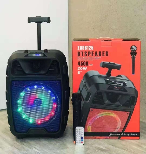 ZQS8125  Basics Portable 8 Inch Bt Portable Wireless Speaker