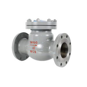 Обратный поворотный клапан ANSI/DN500/фланцевый/для атомной энергетики/паровой/углеродистый/чугунный/нержавеющая сталь/по низкой цене - Product Image 2