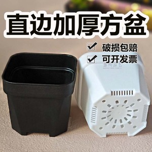 Pot de fleurs carré en résine Sheng Yang avec trou de drainage pour plantes d'intérieur, utilisation sur bureau - Product Image 5