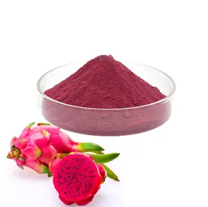 Großhandel Bio-Drachenfrucht-Extraktpulver gefrorenes getrocknetes rotes Pitaya-Pulver