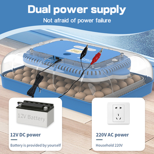 WONEGG HHD Nouveau taux d'éclosion élevé 70 couveuses à œufs <span class=keywords><strong>Machine</strong></span> à couver automatique - Product Image 5