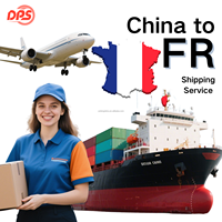 Agente de Despacho de Aduanas para Fletes Marítimos Ofrece Servicios Logísticos de Envío FCL de Shenzhen a Francia/Europa