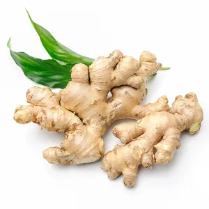 Hot Sales Fresh Air Dry Ginger Top Quality Wholesale Price China fresh Ginger