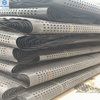 Toit et toit de garage de sous-sol verdissement HDPE concave-convexe membrane étanche isolation dragage panneau de drainage