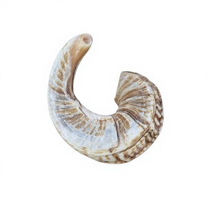 Shofar en corne de bélier naturelle, véritable, fait main, personnalisé AZ ENTERPRISES – Instrument en corne animale de haute qualité pour usages religieux et culturels - Product Image 3