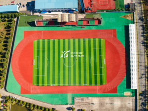 5cm hauteur <span class=keywords><strong>Rodan</strong></span> terrain gazon synthétique gazons terrain de football gazon de football gazon artificiel gazon de sport tapis d'herbe - Product Image 2