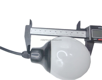 Guirlande lumineuse LED RGB intelligente 24V, ampoule point lumineux 80mm, étanche IP67, décoration de vacances, guirlande de boules 3D à pixels, pour extérieur et aménagement paysager