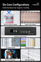 Réfrigérateur vertical commercial grande capacité à porte unique, refroidissement par ventilateur, pour boissons