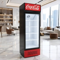 Réfrigérateur commercial vertical à porte vitrée simple pour boissons gazeuses, avec éclairage LED, support gaz R290, personnalisation OEM du logo