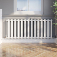 Radiateur de colonne thermostatique de chauffage central horizontal de longue durée Doz