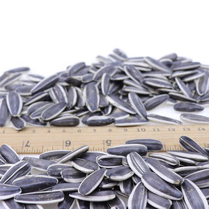 بذور دوار القمر الصينية الأصلية المصنعة خصيصاً من المنغوليا الداخلية 361 363 بذور دوار القمر الصينية المزودة بغلاف السعر - Product Image 4