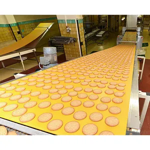 Полностью Автоматическая жесткая линия по производству мягкого печенья, машина для выпечки молочного печенья в Шанхае