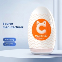 Masturbateur masculin en forme d'avion, mini, portable, en silicone, modèle de jouet pour adultes