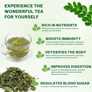 Té de hoja de <span class=keywords><strong>Moringa</strong></span> Hoja seca orgánica de alta calidad Puro <span class=keywords><strong>natural</strong></span> OEM Etiqueta privada herbal saludable - Product Image 4