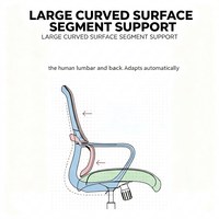Chaise de bureau ergonomique, dossier en maille respirante, chaise d'ordinateur pivotante et réglable en hauteur, chaise roulante pour le personnel, chaise d'apprentissage pour enfants à domicile
