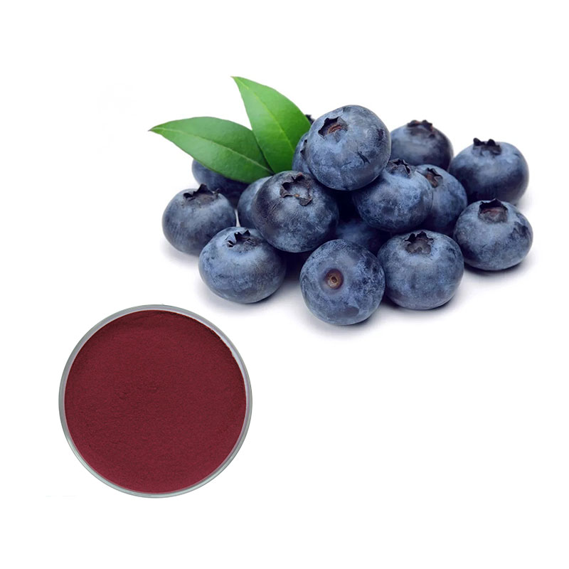 Blueberry Extract Blueberry Pr