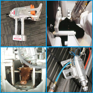 Nouveau produit 2022, machinerie <span class=keywords><strong>d</strong></span>'abattoir pour bétail, machine <span class=keywords><strong>d</strong></span>'<span class=keywords><strong>abattage</strong></span> de bovins, <span class=keywords><strong>pistolet</strong></span> <span class=keywords><strong>d</strong></span>'étourdissement pour abattoir, moteur 14.70 - Product Image 3