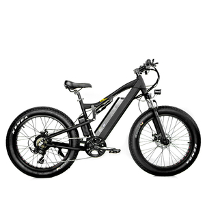 Motor de Gran Potencia de 1000W, 48V 21ah, para Neumáticos de Nieve, 24"x 4.0, OEM/ODM, con Certificación CE Americana, Cuadro de Suspensión Completa GH-E3298002 - Product Image 1