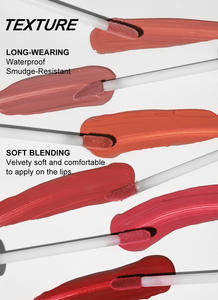 Ventes directes du fabricant 6 pièces/ensemble de rouges à lèvres en velours mat imperméable à l'eau liquide faites votre propre logo - Product Image 3