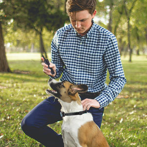 रिमोट लांग रेंज इलेक्ट्रिक कुत्ता प्रशिक्षण कॉलर कंपन कॉलर कुत्ते बिजली के झटके कॉलर - Product Image 6