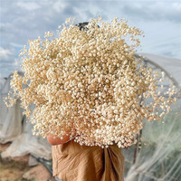 Offre Spéciale : Fleurs de Gypsophile Séchées et Préservées pour Décoration Intérieure et Extérieure, Mariages et Maison