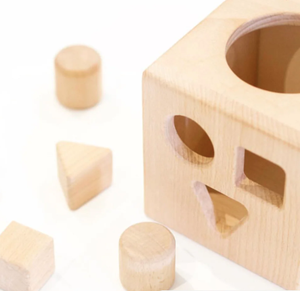 Trieurs de formes géométriques en bois dur (non toxiques) - Product Image 5