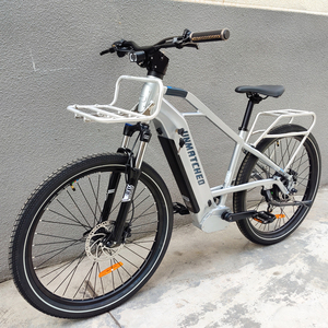 Bicicleta Cruiser 2023, Nuevo Modelo, 48V500W, Bicicleta Eléctrica Urbana para Mujer, Bicicletas Eléctricas Chinas Inigualables para Mujer - Product Image 3