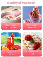 Gefreeze-droogde verse aardbeien Premium gedroogd fruit voor snacks en recepten