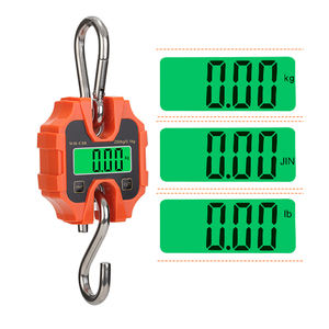 Weiheng WH-C08 Digital Tragbare Kran waage <span class=keywords><strong>250</strong></span> <span class=keywords><strong>kg</strong></span> Kapazität ABS Material OEM Anpassbare 1g Genauigkeit LCD Großhandels produkt - Product Image 6