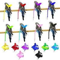 2025 Logo personnalisé petit perroquet réglable conception d'entraînement d'oiseau Anti-morsure oiseau bleu corde en Nylon harnais laisse