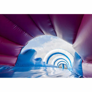 สไลเดอร์น้ำเป่าลมแบบกำหนดเองสำหรับโปรโมทแบรนด์ โรดโชว์ และการตลาดกลางแจ้ง รูปทรงฉลาม - Product Image 6