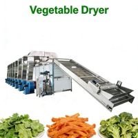 Automatische 500kg/uur machine voor het wassen, snijden en meerdere lagen drogen met warme lucht van verse fruit- en groentechips voor voedingsmiddelenindustrie
