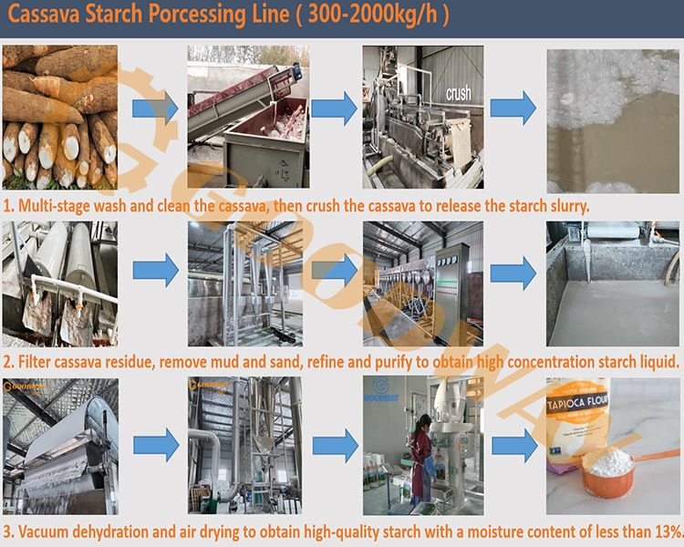 Cassava 20キロ送料込み Cassava 20キロ送料込み Cassava 20キロ送料