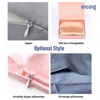 Haute qualité 22mm 100% pur mûrier naturel véritable taie d'oreiller en soie taie d'oreiller en soie fermeture éclair