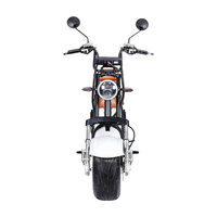 Fabrika OEM/ODM Elektrikli Motosiklet 1500W Ev Tipi Yetişkin Motosikleti Scooter Dayanıklı Çelik Gövde Su Geçirmez Ekran Şehir İçi Ulaşım BİSİKLETİ