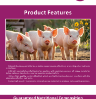 Prémélange pour la croissance rapide et la prise de poids des porcelets, additif alimentaire pour porcs, approvisionnement direct du fabricant