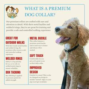 Collier de chien en nylon réglable Collier pour animaux de compagnie <span class=keywords><strong>1</strong></span> pouce 3/4 pouce <span class=keywords><strong>5</strong></span>/8 pouce de large pour chien de grande taille moyen petit - Product Image 5