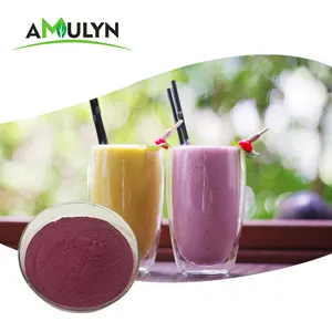Bubuk Buah <span class=keywords><strong>Acai</strong></span> Berry Kering Beku Alami Brazil Bubuk Kering - Product Image 3