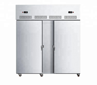 Congélateur commercial, 20 l, à basse température, pour aliments, poisson, été