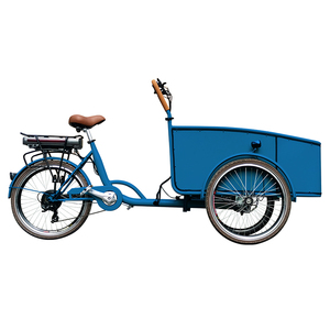 Tricycle pour bébé à chargement frontal, moteur 250w, vélo <span class=keywords><strong>cargo</strong></span> électrique avec housse de pluie <span class=keywords><strong>en</strong></span> vente flash - Product Image 6