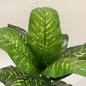 Albero Artificiale di Difennbachia Sempreverde, Pianta Finta in Plastica 90CM, Verde, Ecologico, Durevole, per Uso Interno, Quasi Naturale - Product Image 2