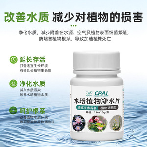 Comprimés de purification d'eau pour plantes hydroponiques Cpai, bouteille de 110g+10g pour le jardinage en serre intérieure - Product Image 2
