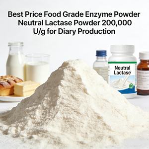 Lactase de qualité alimentaire, pH optimal 6.0-7.0, stable à la chaleur, haute efficacité d'hydrolyse de la <span class=keywords><strong>lactose</strong></span> pour l'intolérance à la <span class=keywords><strong>lactose</strong></span> - Product Image 1