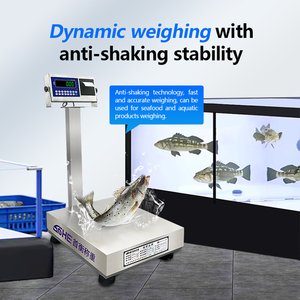 SOHE SH2100-A8SP Leicht zu Bedienende Waage ohne Netzanschluss für Lager – Edelstahl-Druckwaage - Product Image 4