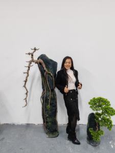 หินไฟเบอร์กลาสหน้าผาแดงไซเปรสจำลองสวนหินจำลองทิวทัศน์ไฟเบอร์กลาสแบบไม่สม่ำเสมอ - Product Image 5