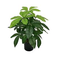 Arbre de la Fortune Artificiel en Pot pour Salon Haut de Gamme et Décoration de Mariage, Verdure Réaliste
