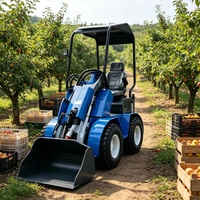 Mini-Baulader mit Schwerlast-Hydraulik und Benzinmotor, Kompakter Raupenlader für Bau- und Landwirtschaftseinsätze