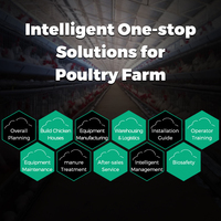 Cage à poules pondeuses en batterie, équipement d'élevage en acier galvanisé à chaud pour l'agriculture