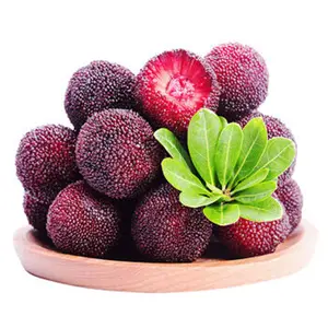 Odm/oem organik 50% "-80%" Myricetin mytica Rubra ekstrak bubuk Bayberry Cina