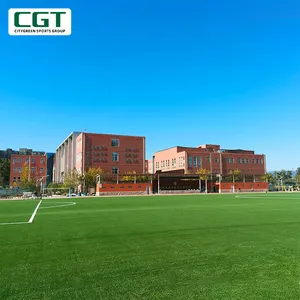 CGT工厂十Cate Thiolon人造草草坪，用于人造gras地毯足球场